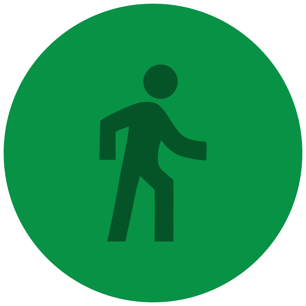 Gait Abnormalities